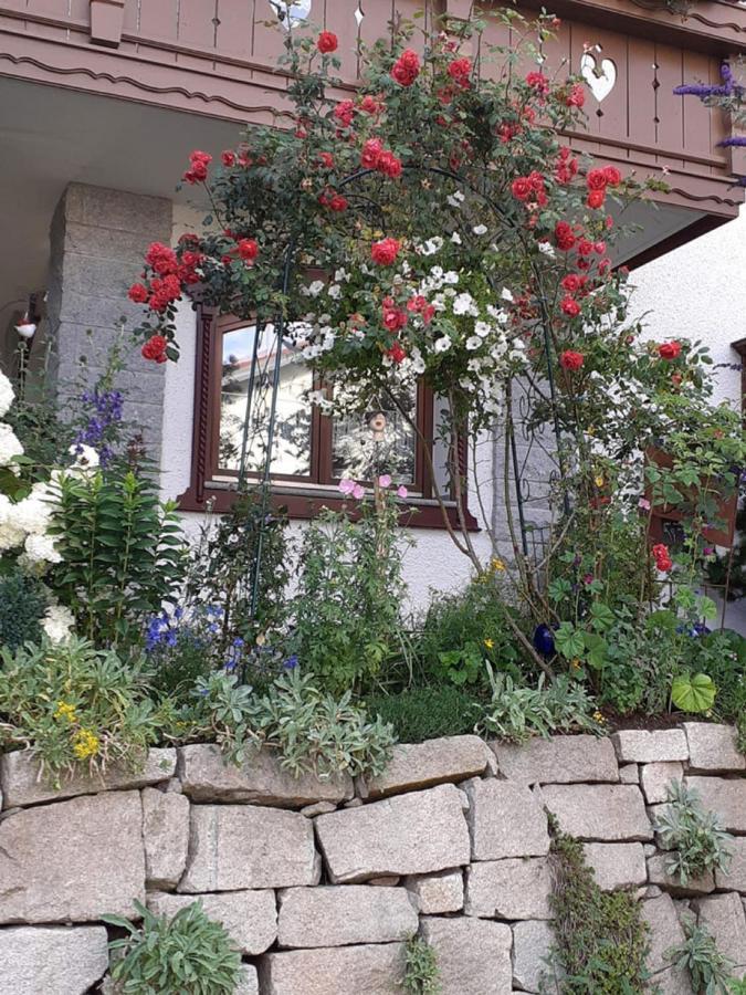 Ferienwohnung Arberblick Lam Dış mekan fotoğraf